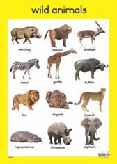 wild-animals-wall-chart