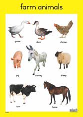 farm-animals-wall-chart