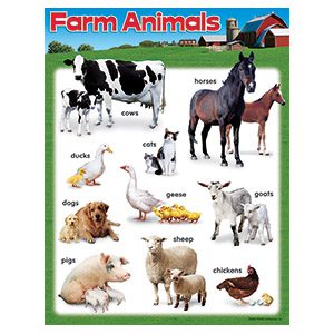 farm-animals-learning-chart