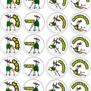 tops-springbok-stickers-english