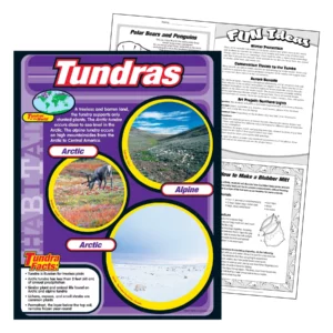 tundras-learning-chart
