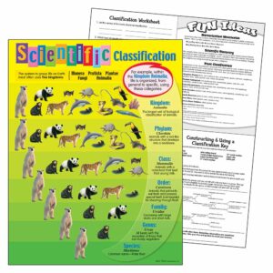scientific-classification-learning-chart