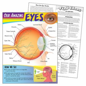 amazing-eyes-learning-chart