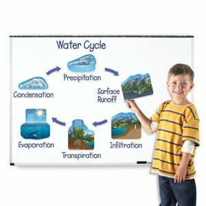 giant-magnetic-water-cycle