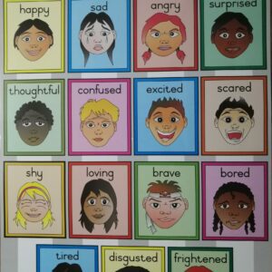 feelings-emotions-poster-laminated