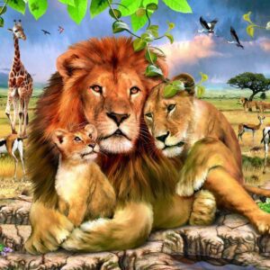 lion-family-wood-puzzle-48pc