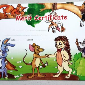 merit-certificate-15x20cm-5pc