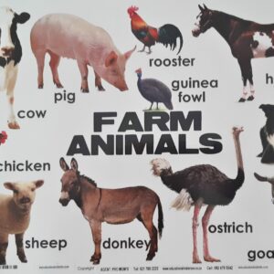 farm-animals-laminated-chart-320mm-x-455mm