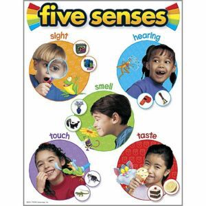 five-senses
