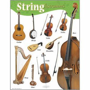 string-instruments