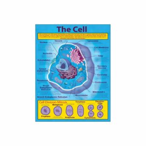 the-cell